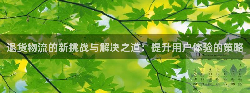 ,优游国际比特28真实吗：退货物流的