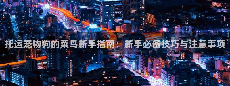 ,优游国际是正规软件吗：托运宠物狗的