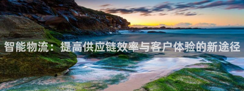,优游国际注册：智能物流：提高供应链