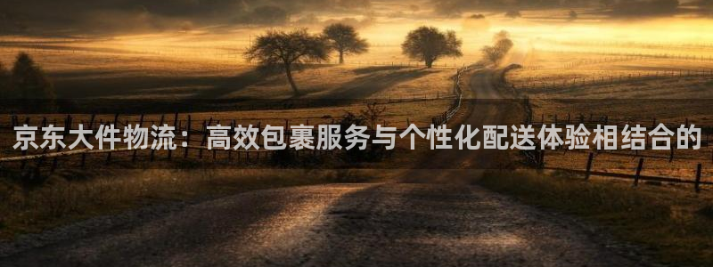 ,优游国际自行车图片大全：京东大件物