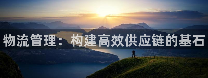 ,优游国际p扣除是什么意思：物流管理