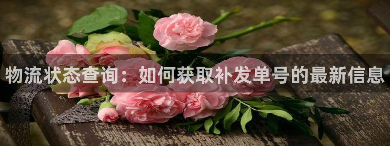 ,优游国际模拟器：物流状态查询：如何
