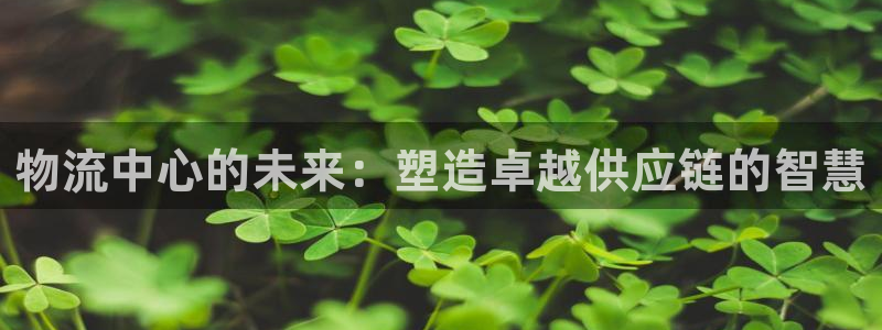 优游国际官网入口pc29官网版下载