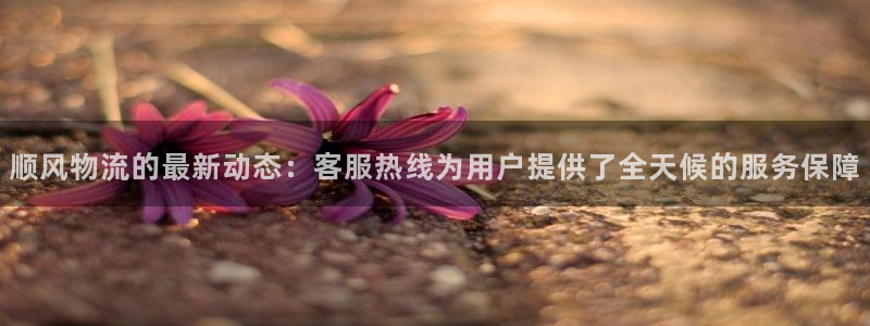 ,优游国际注册登录：顺风物流的最新动