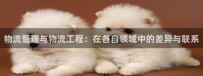 ,优游国际充值方式