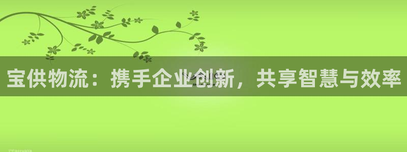,优游国际官方版正版:宝供物流:携手