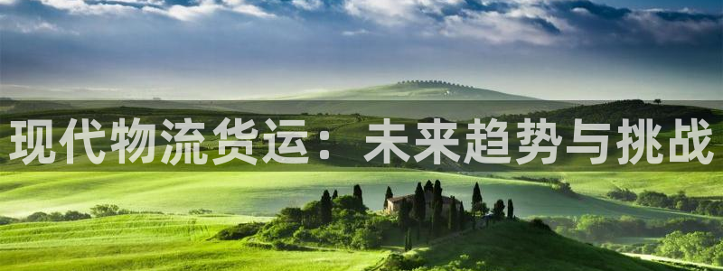 ,优游国际链官网:现代物流货运:未来