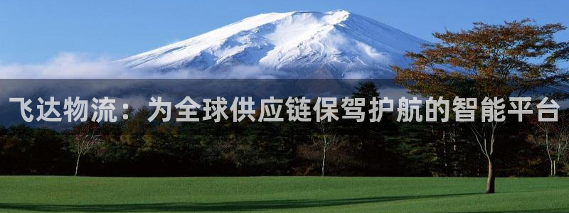 ,优游国际pc预测:飞达物流:为全球