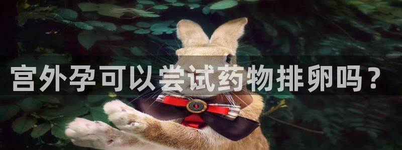 ,优游国际注册网页版:宫外孕可以尝试