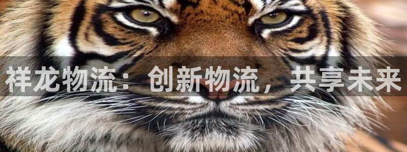 ,优游国际能赢钱吗:祥龙物流:创新物