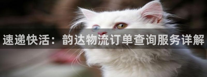 ,优游国际在线预测官网:速递快活:韵