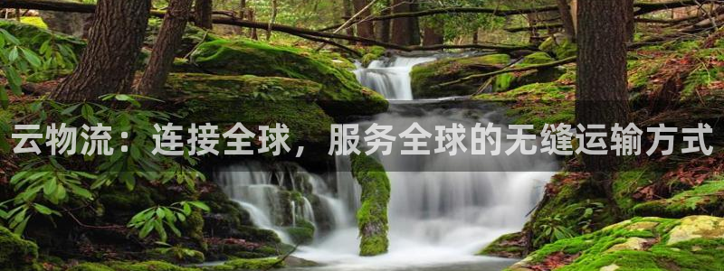 优游国际官网下载链接怎么弄:云物流: