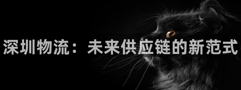 ,优游国际可以退款吗:深圳物流:未来