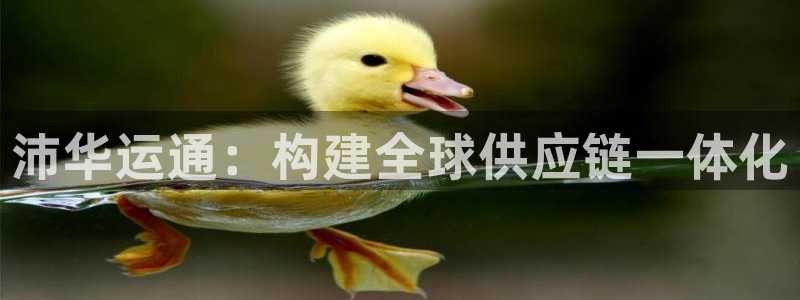 ,优游国际怎么下载教程:沛华运通:构