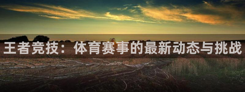 龙门飞甲粤语在线看：王者竞技：体育赛事的最新动态与挑战