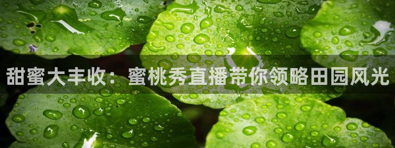 178直播比赛在线观看龙门：甜蜜大丰收：蜜桃秀直播带你领略田园风光