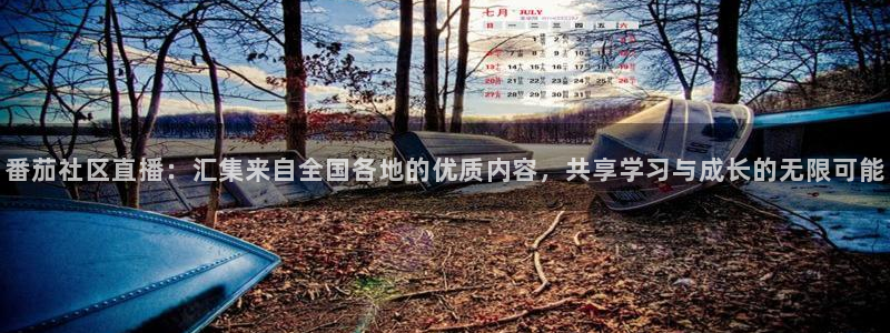 龙门免费直播：番茄社区直播：汇集来自全国各地的优质内容，共享学习与成长的无限可能