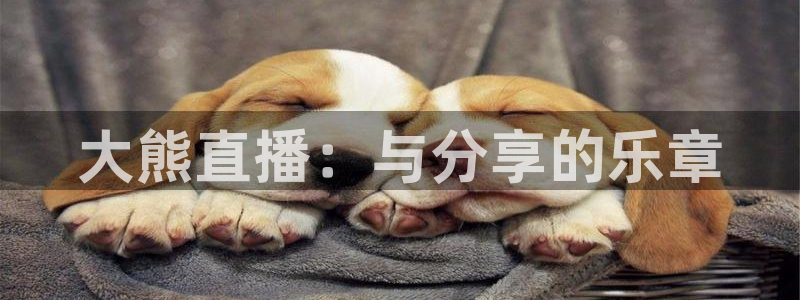龙门在线直播nba：大熊直播：与分享的乐章