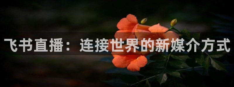 jrs直播低调看直播nba直播 龙门直播：飞书直播：连接世界的新媒介方式