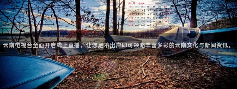龙门飞甲超清在线播放：云南电视台全面开启线上直播，让您足不出户即可领略丰富多彩的云南文化与新闻资讯。