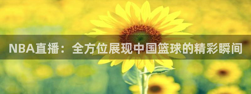 龙门令1至100集免费观看：NBA直播：全方位展现中国篮球的精彩瞬间